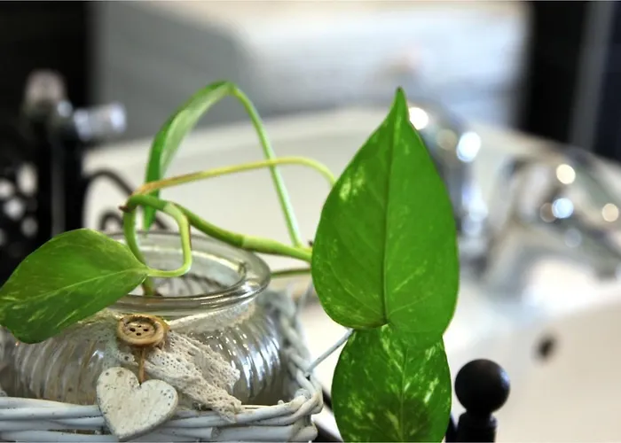 Bed & Breakfast Rb Della Torre Porretta Terme