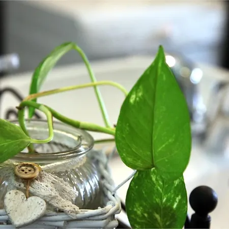 Bed & Breakfast Rb Della Torre Porretta Terme