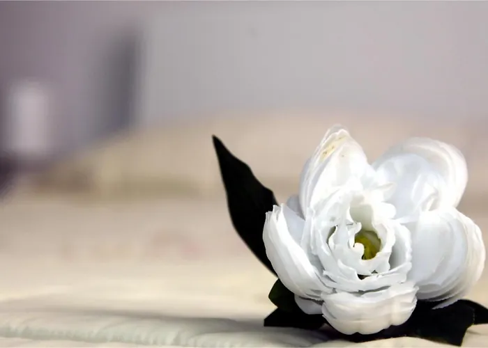 Rb Della Torre Frühstückspension 3*